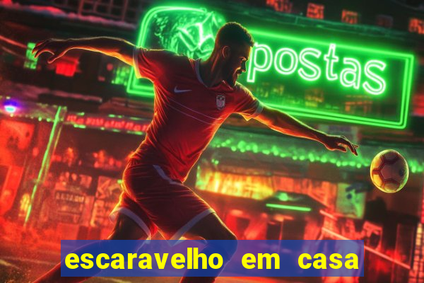 escaravelho em casa significado espiritual